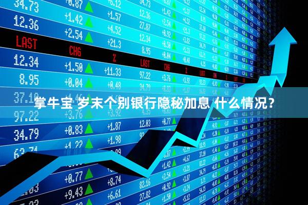 掌牛宝 岁末个别银行隐秘加息 什么情况？