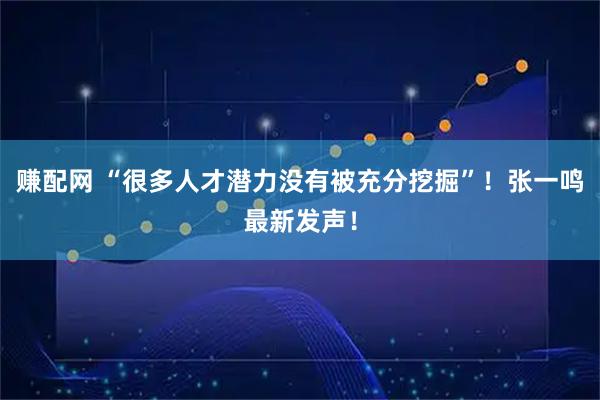 赚配网 “很多人才潜力没有被充分挖掘”！张一鸣最新发声！