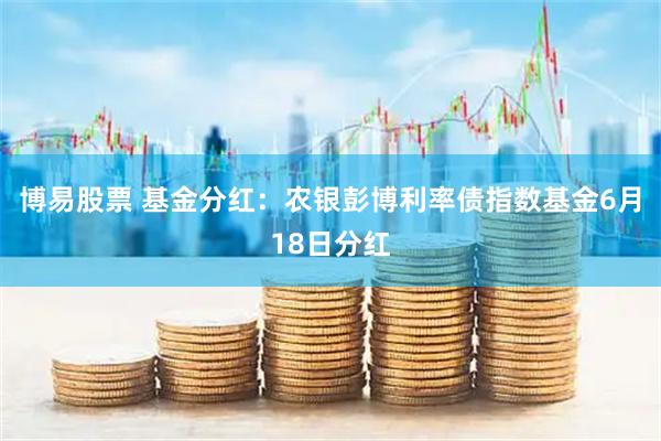 博易股票 基金分红：农银彭博利率债指数基金6月18日分红