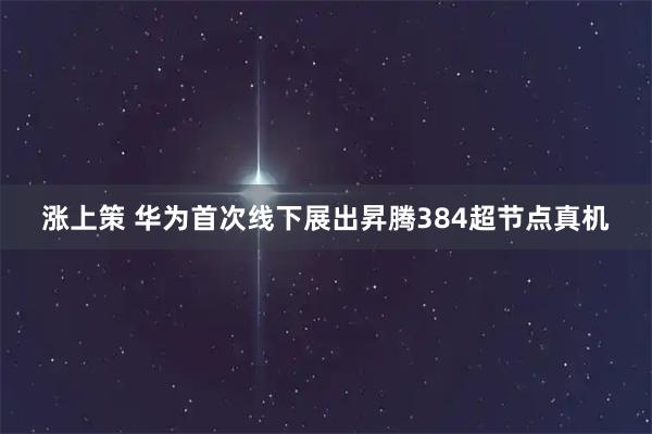 涨上策 华为首次线下展出昇腾384超节点真机